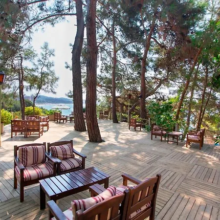 Alara Star 5*